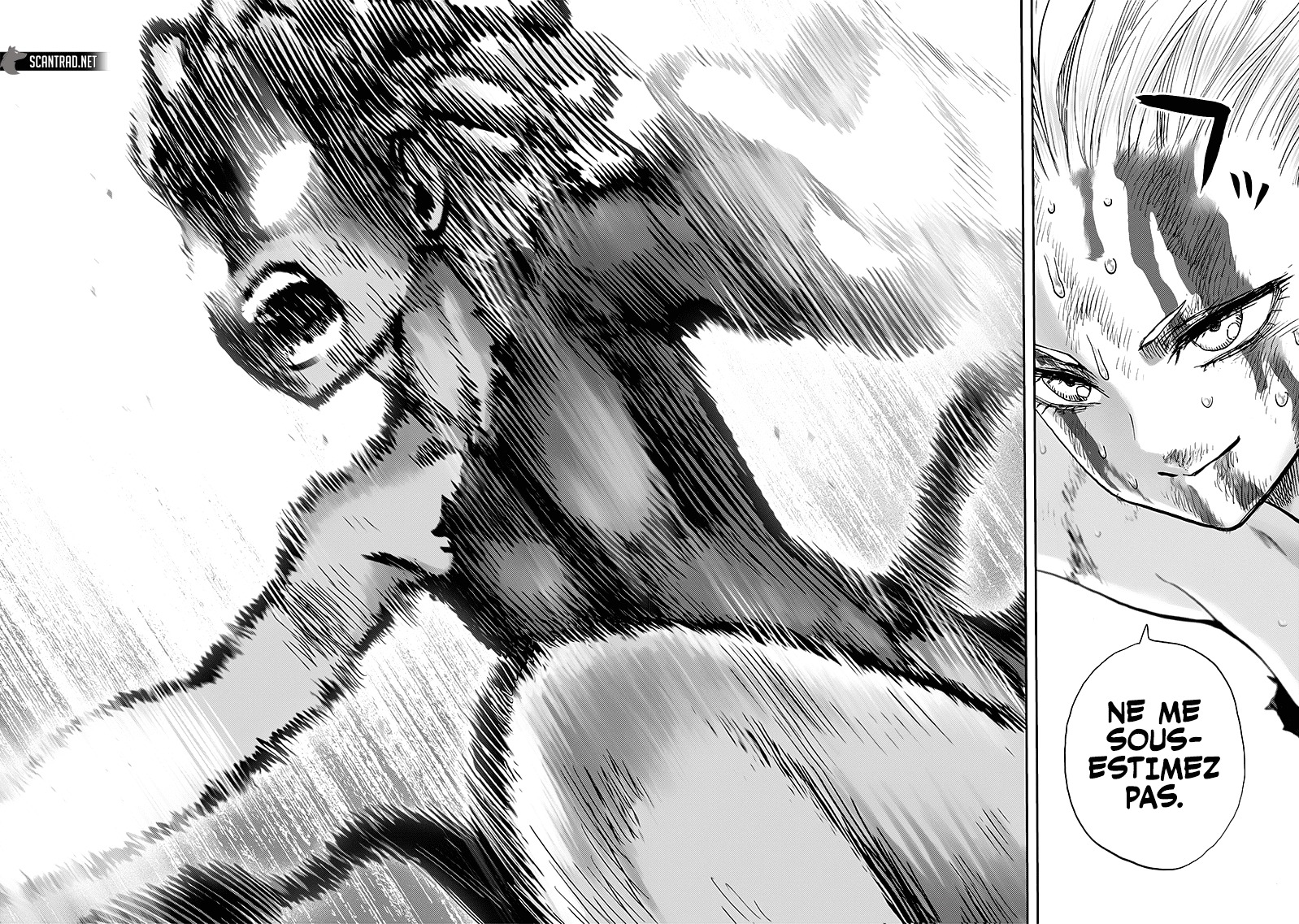 Read One Punch man FR Manga Online