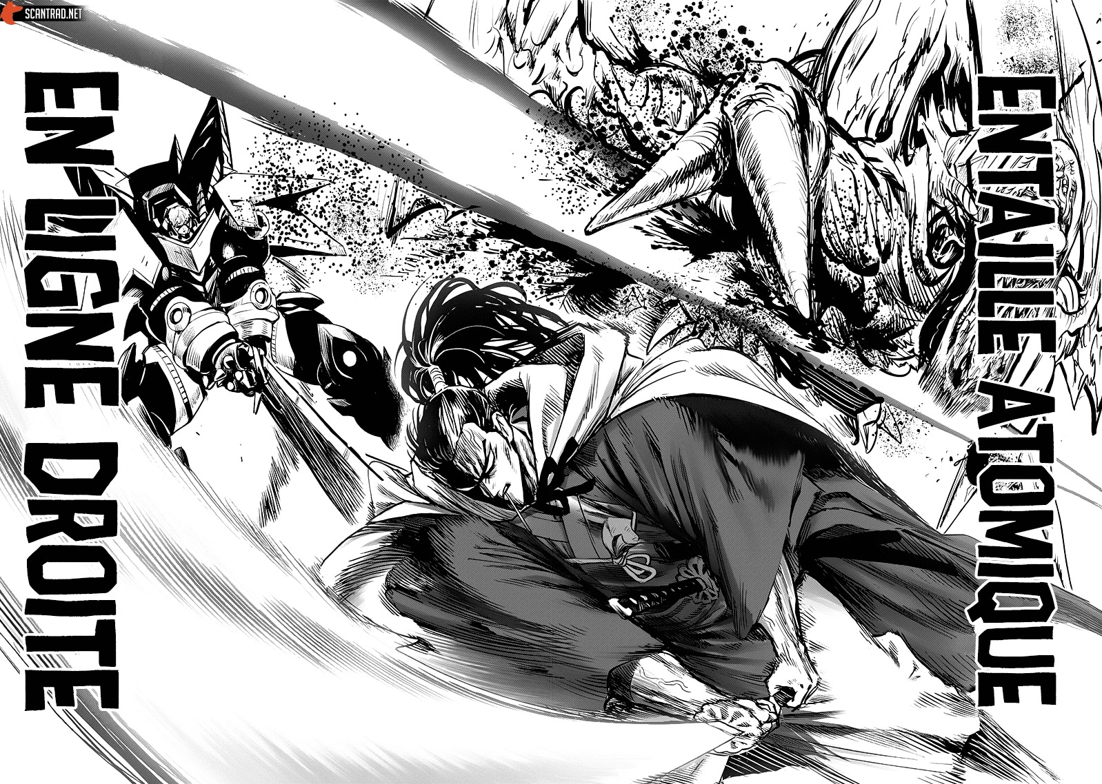 Read One Punch man FR Manga Online