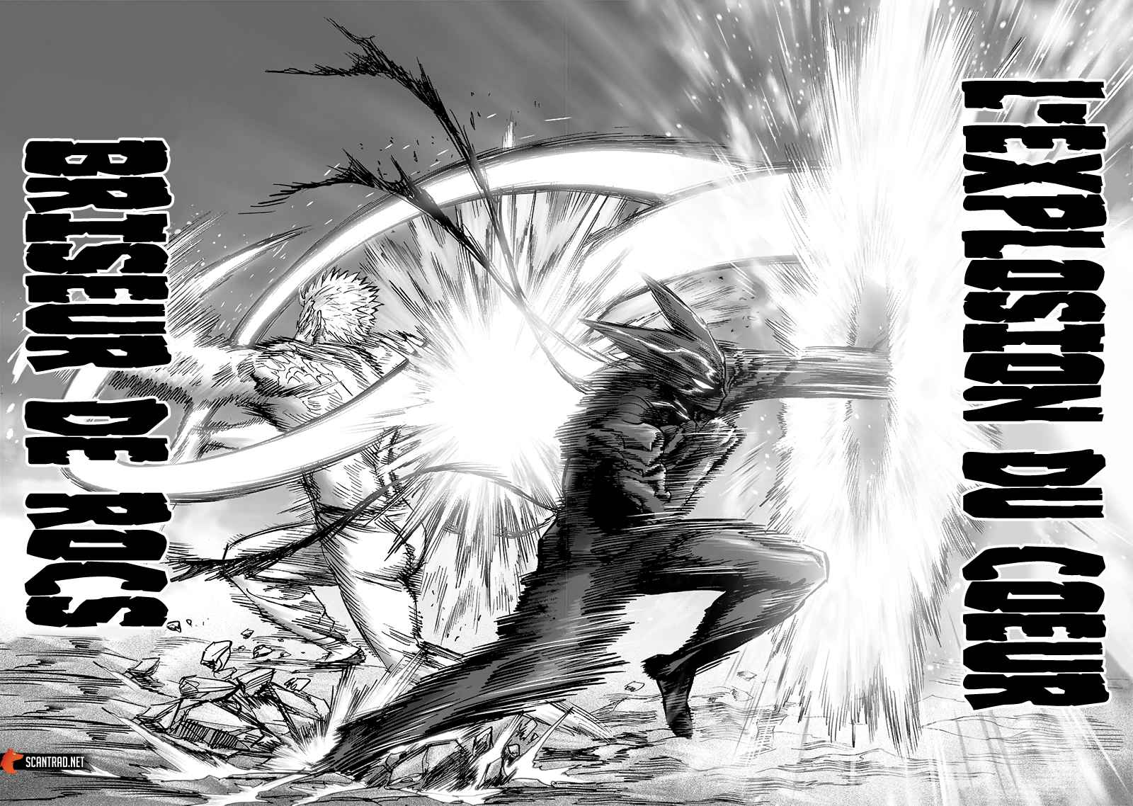 Read One Punch man FR Manga Online