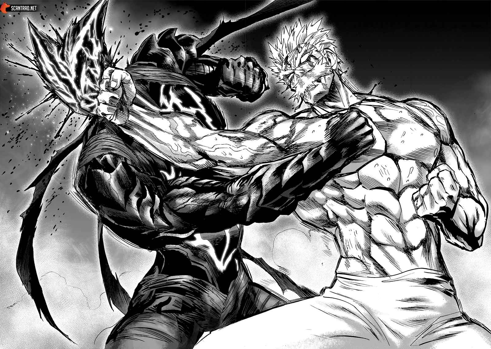 Read One Punch man FR Manga Online