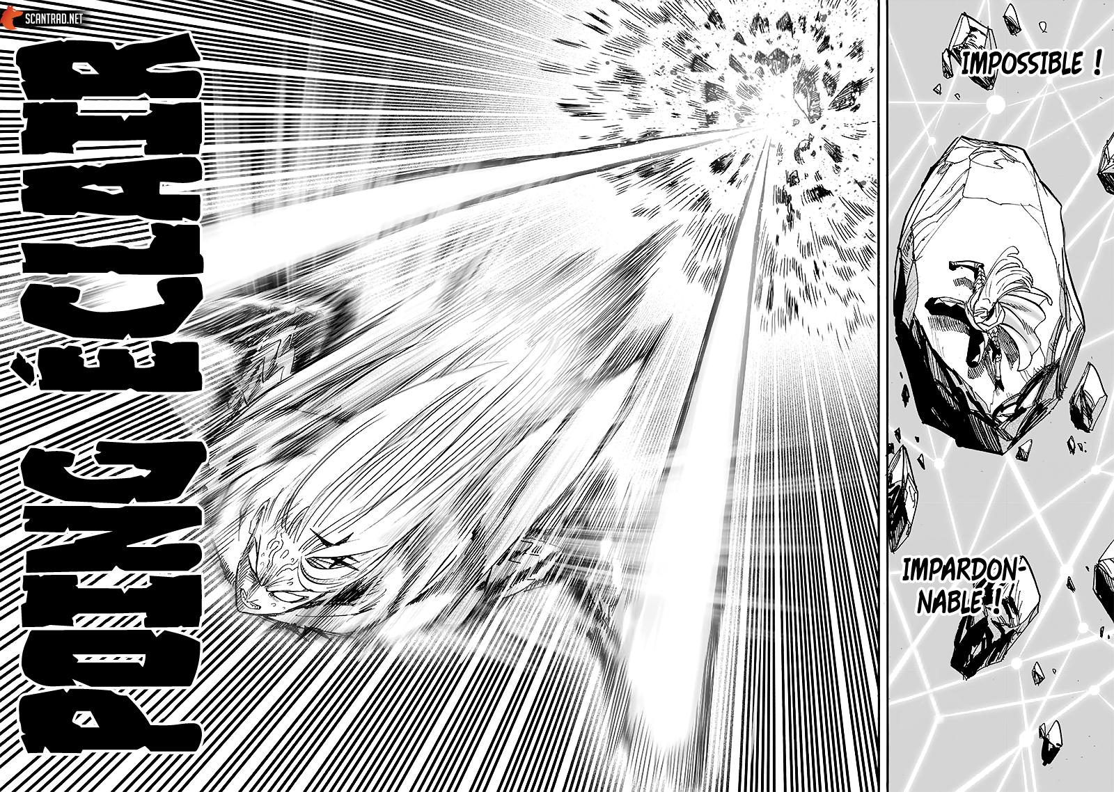 Read One Punch man FR Manga Online