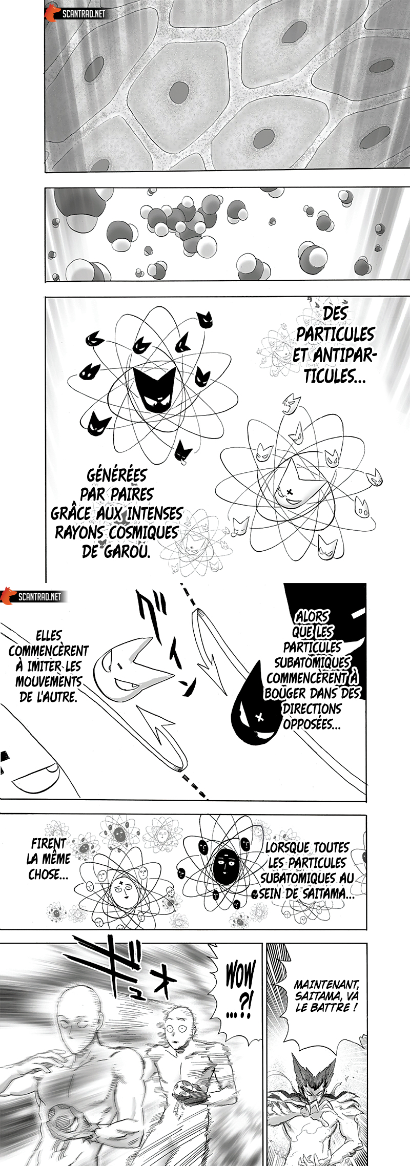 Read One Punch man FR Manga Online