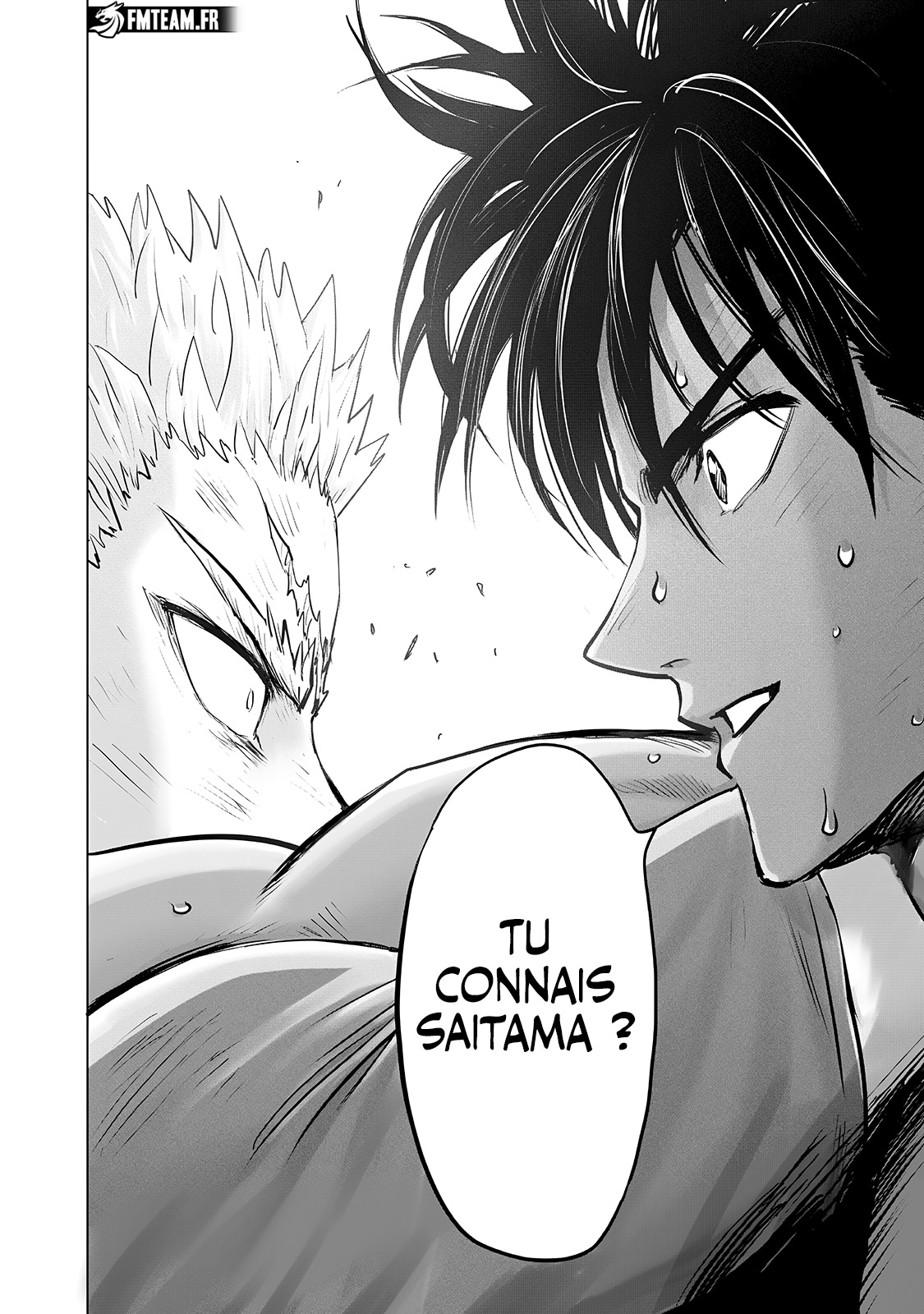 Read One Punch man FR Manga Online