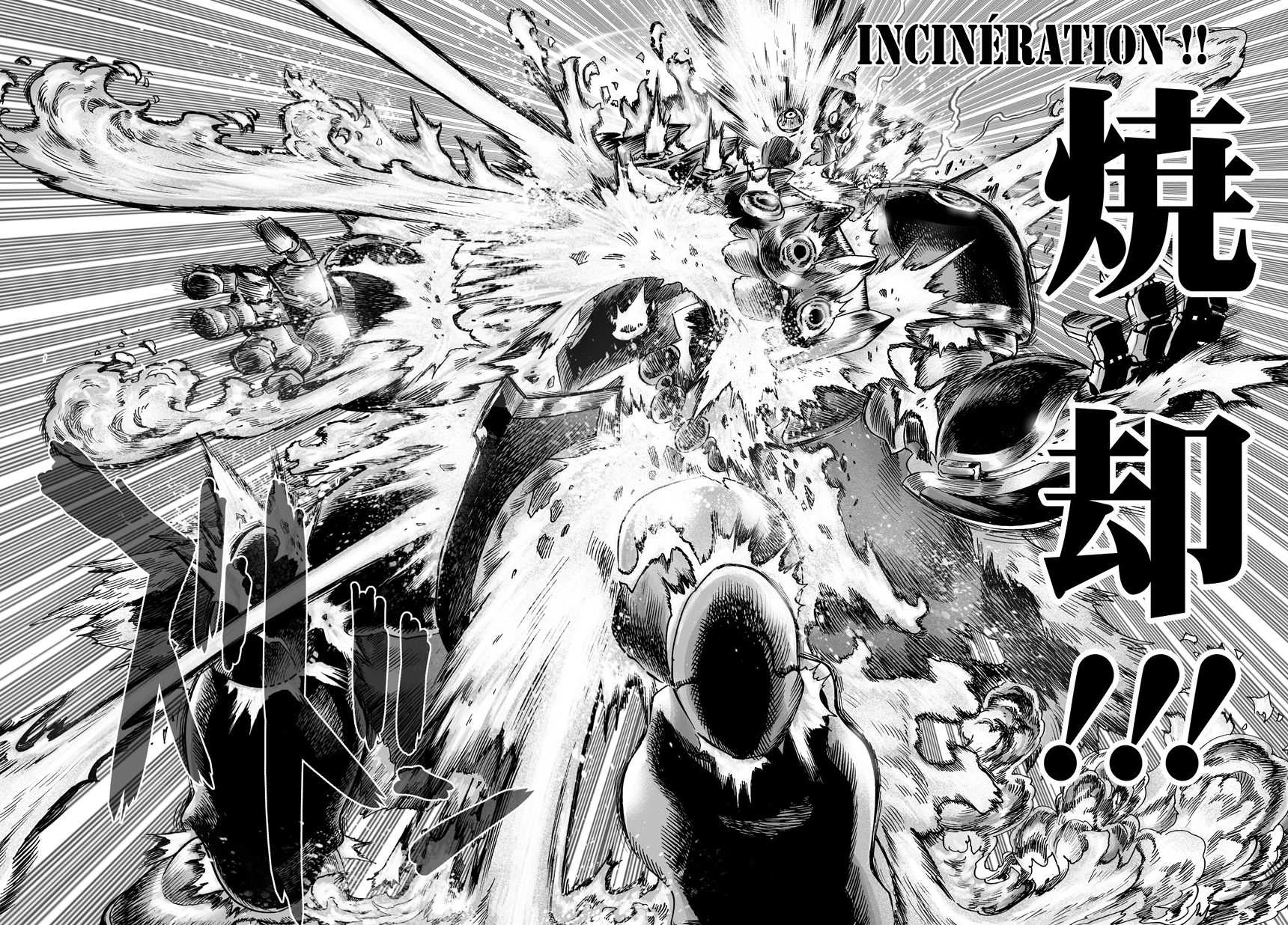 Read One Punch man FR Manga Online