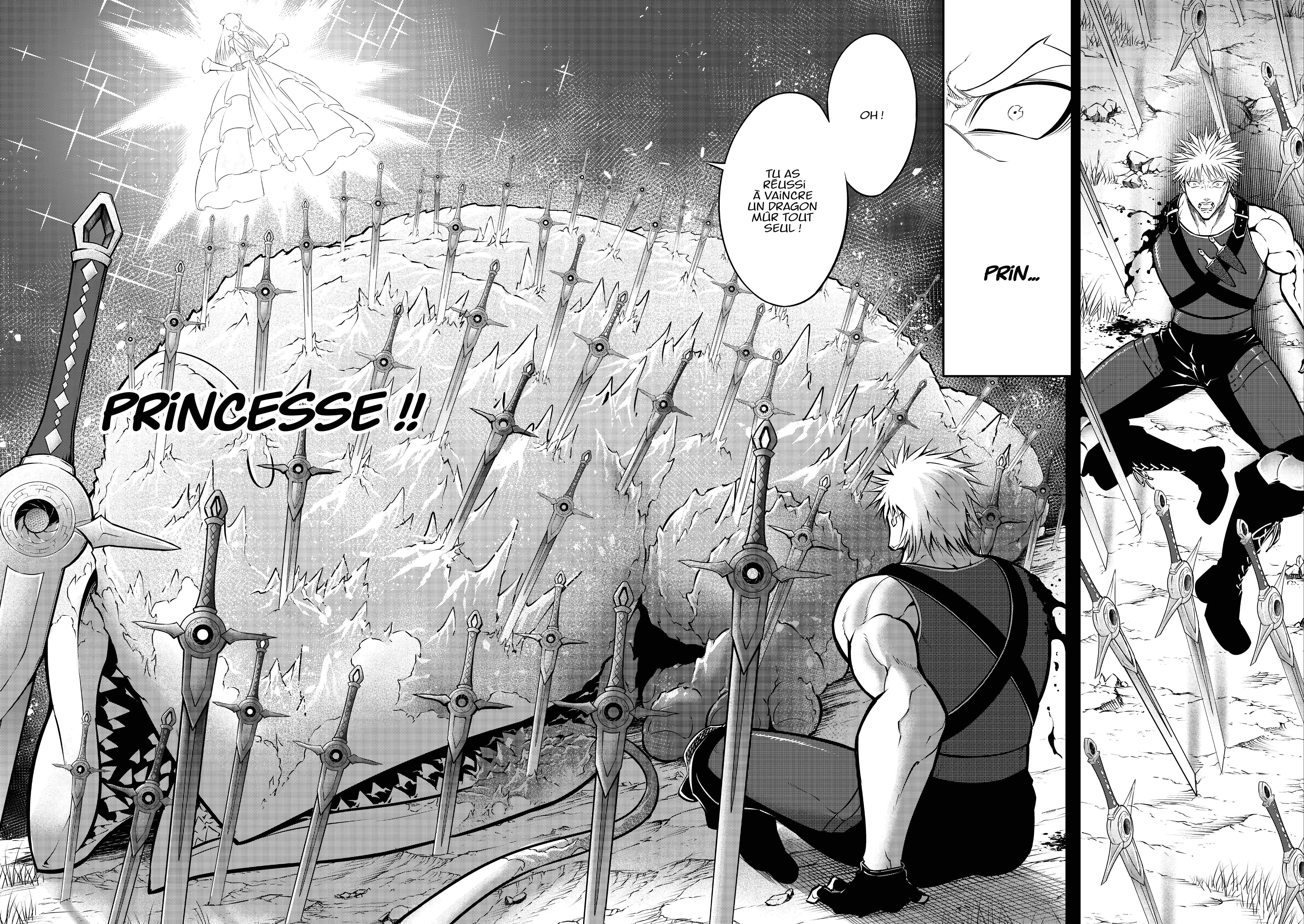 Read Ragna Crimson FR Manga Online