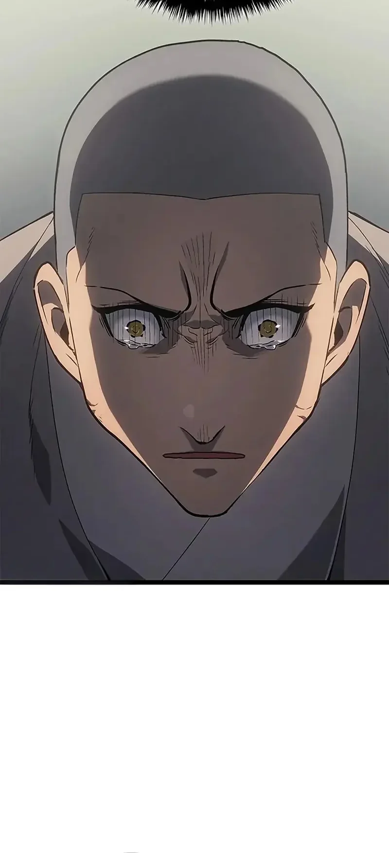 Read Reaper Of The Drifting Moon FR Manga Online