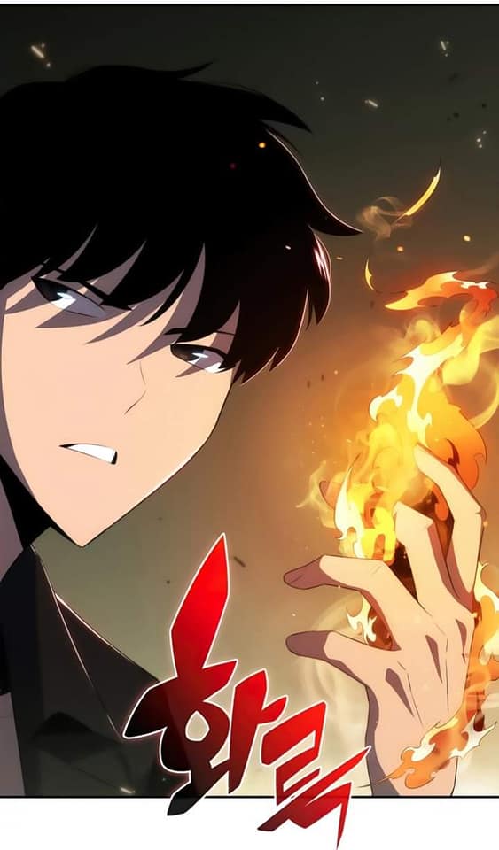 Read Solo Max Level Newbie FR Manga Online