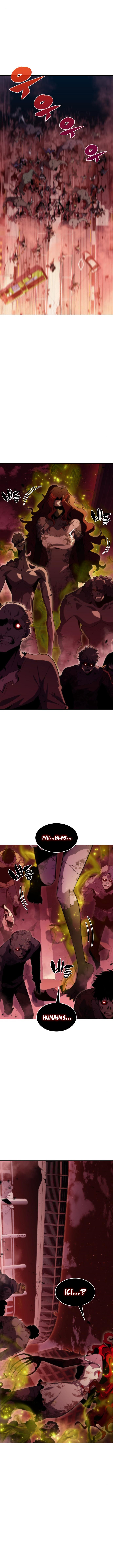Read Solo Max Level Newbie FR Manga Online