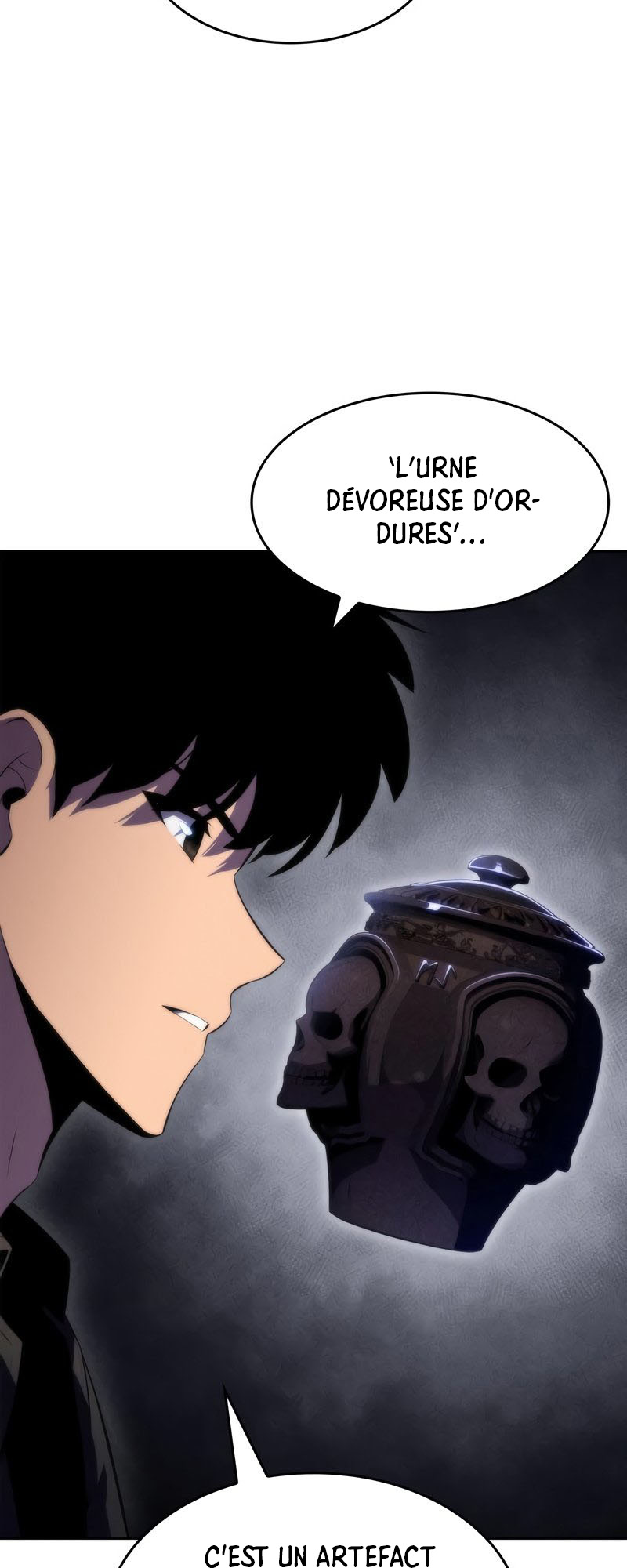 Read Solo Max Level Newbie FR Manga Online