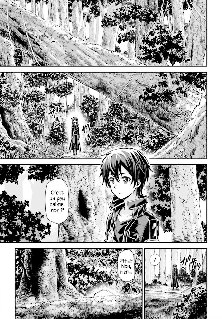 Read Sword Art Online Re Aincrad FR Manga Online
