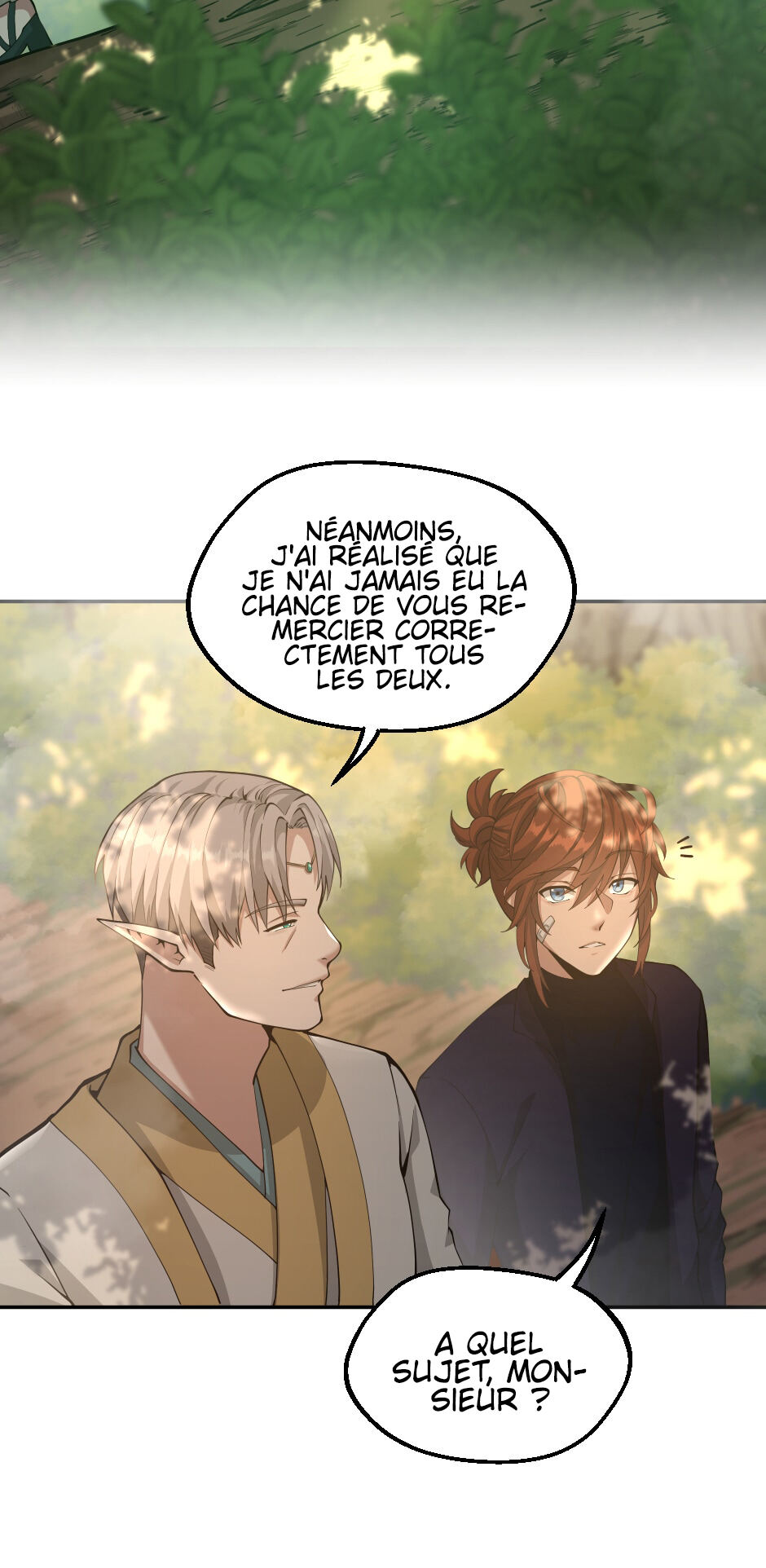 Read The Beginning After the End FR Manga Online
