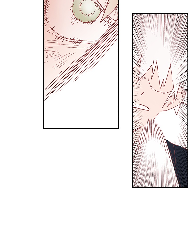 Read The Boxer FR Manga Online
