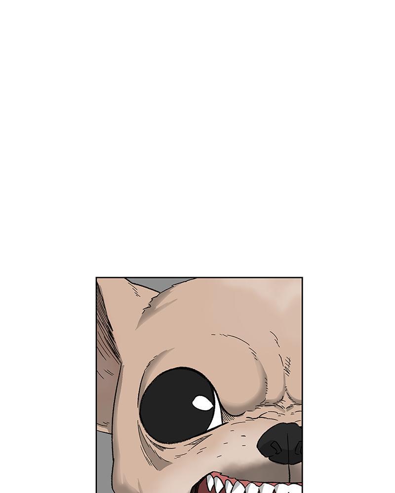 Read The Boxer FR Manga Online