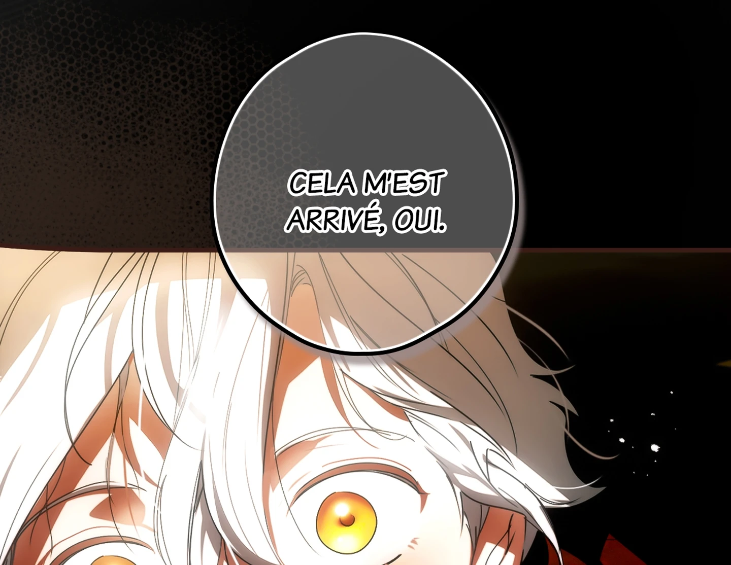 Read The Fantasie of a Stepmother FR Manga Online