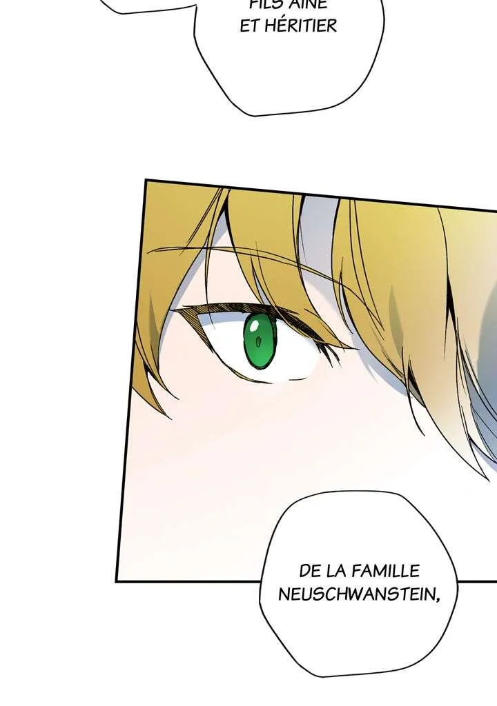 Read The Fantasie of a Stepmother FR Manga Online