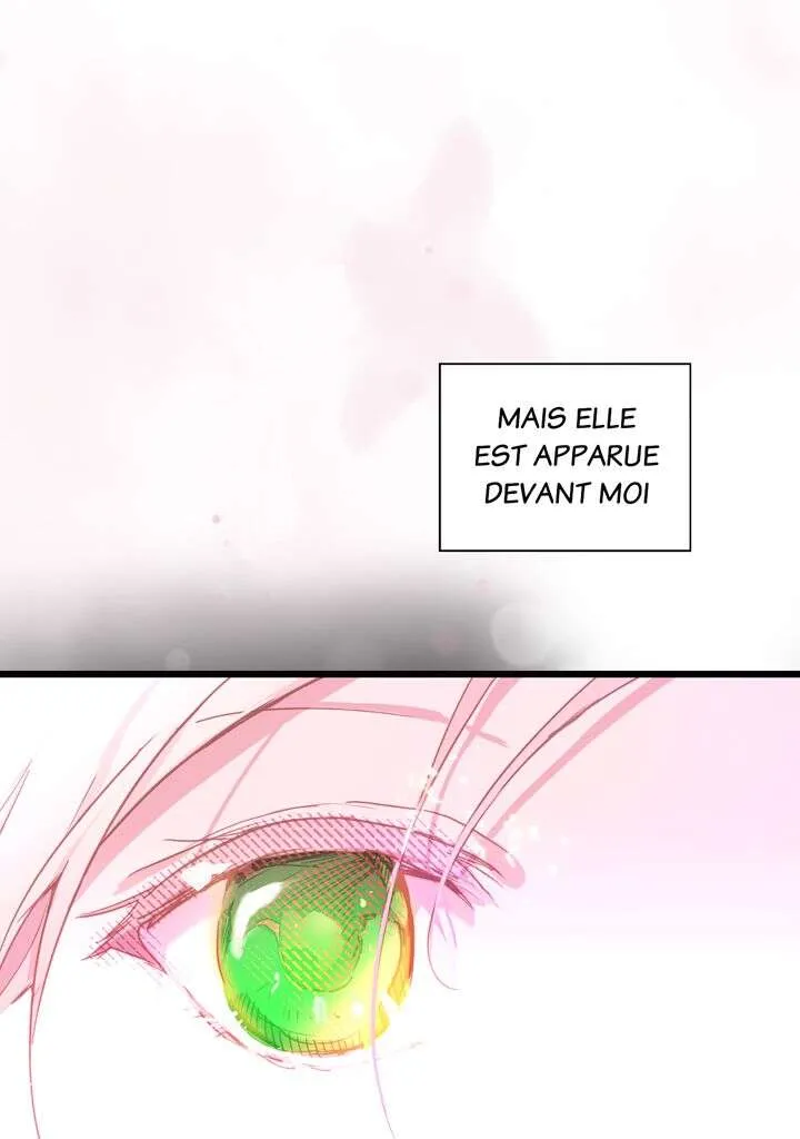 Read The Fantasie of a Stepmother FR Manga Online