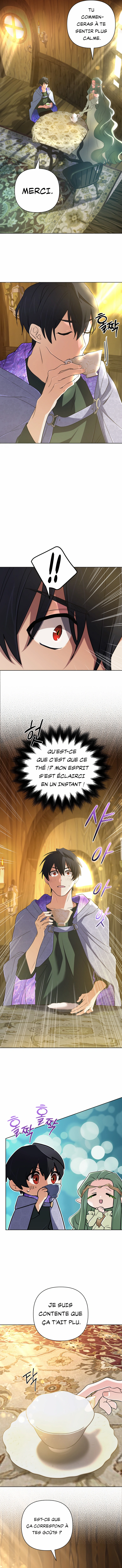 Read The Return of the Mythical Archmage FR Manga Online