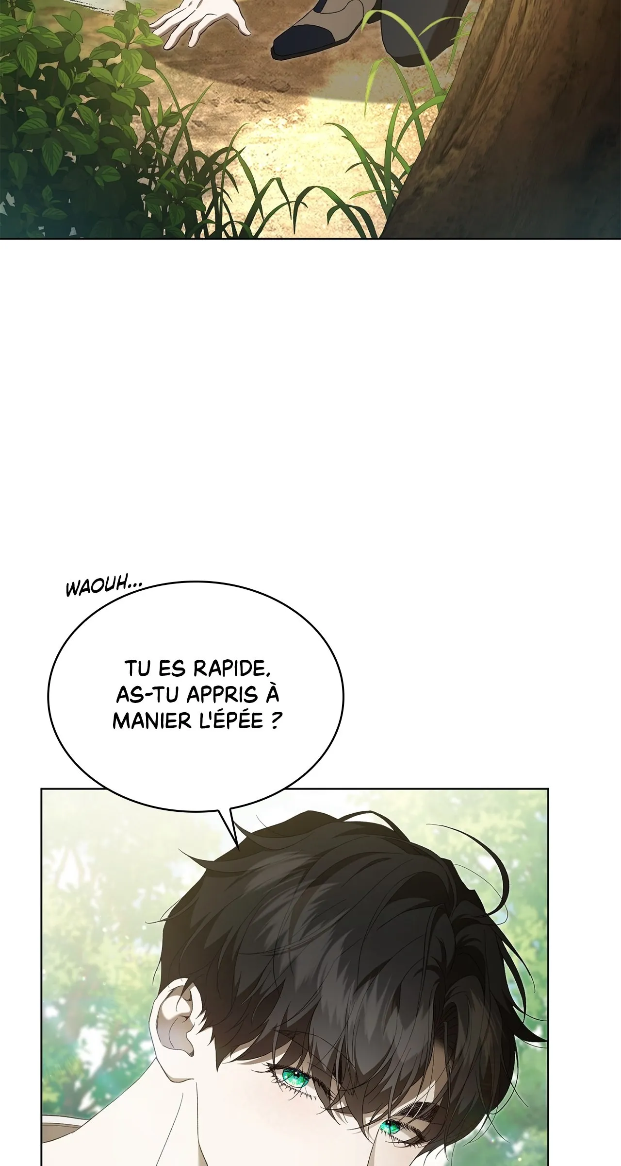 Read The Stone Thrown in the Lake FR Manga Online