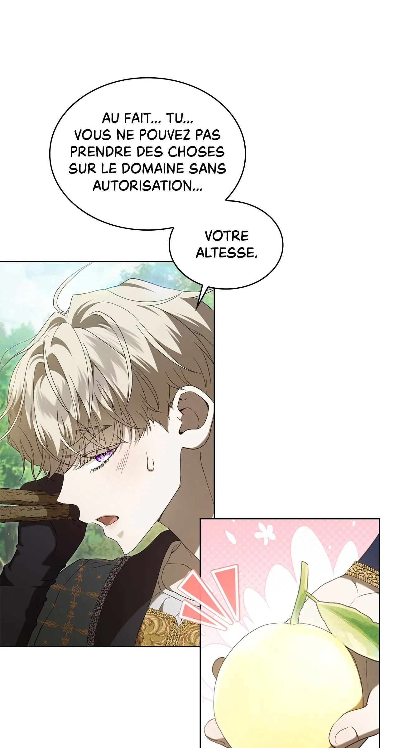 Read The Stone Thrown in the Lake FR Manga Online