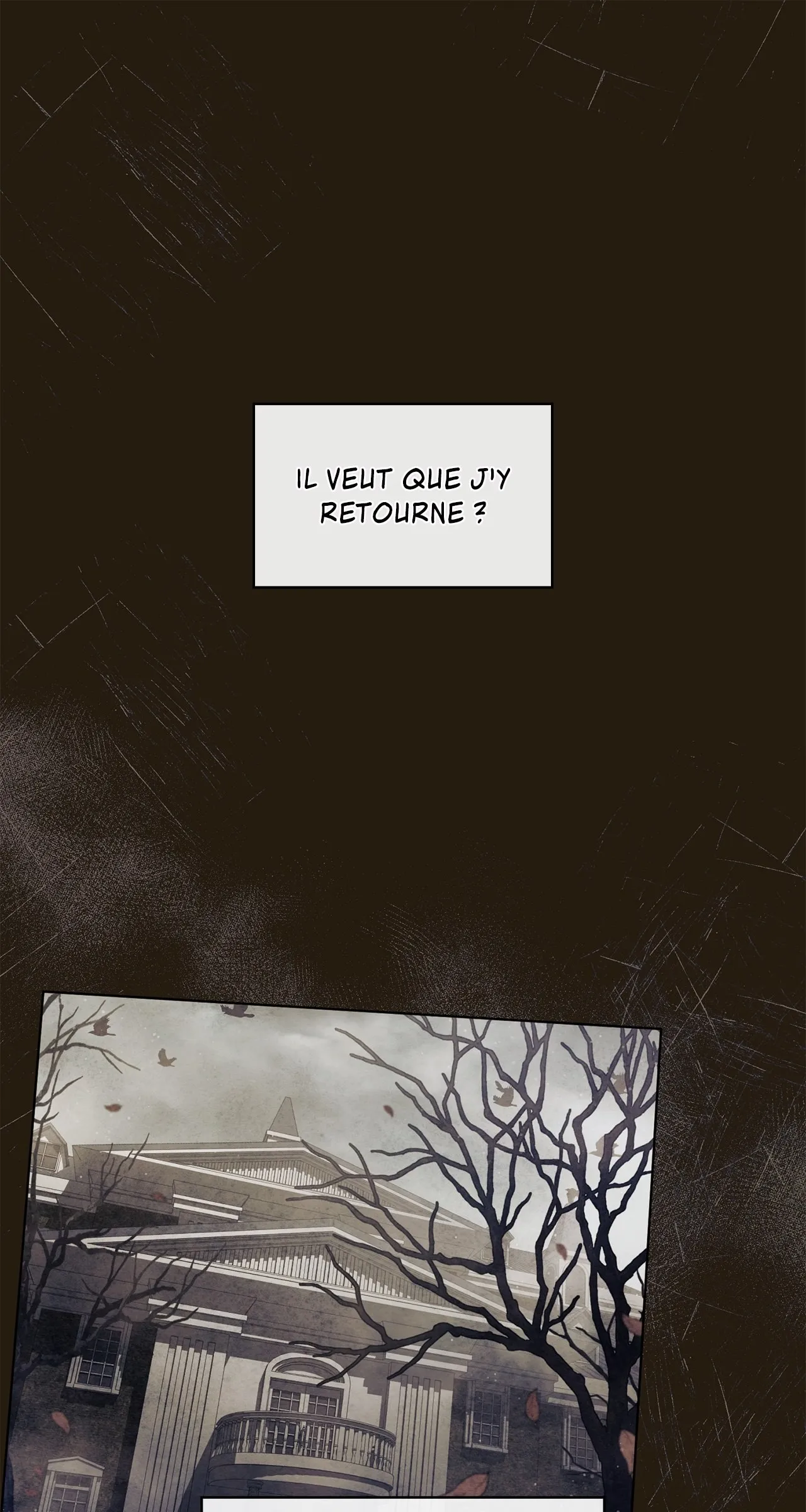 Read The Stone Thrown in the Lake FR Manga Online