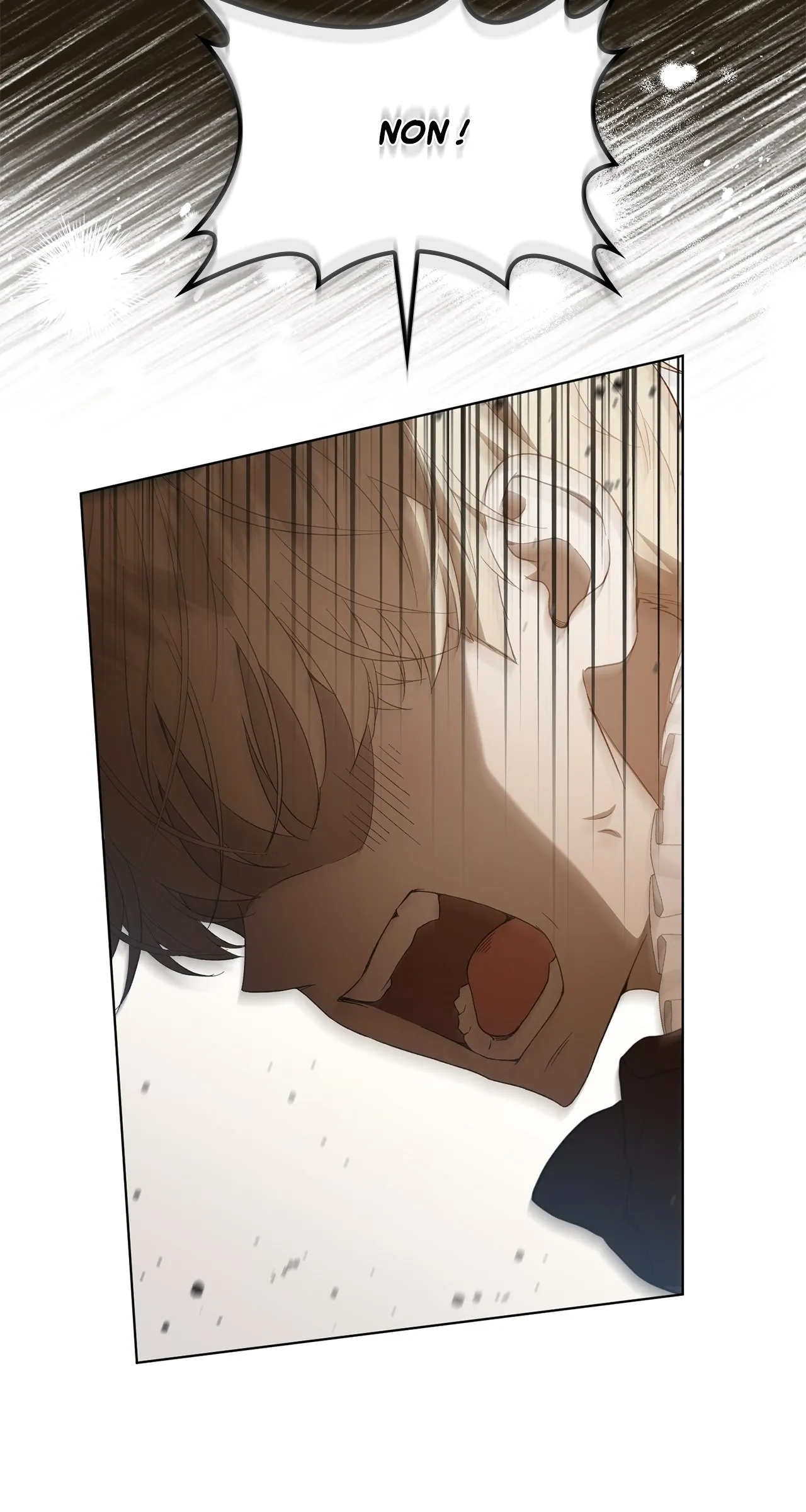 Read The Stone Thrown in the Lake FR Manga Online