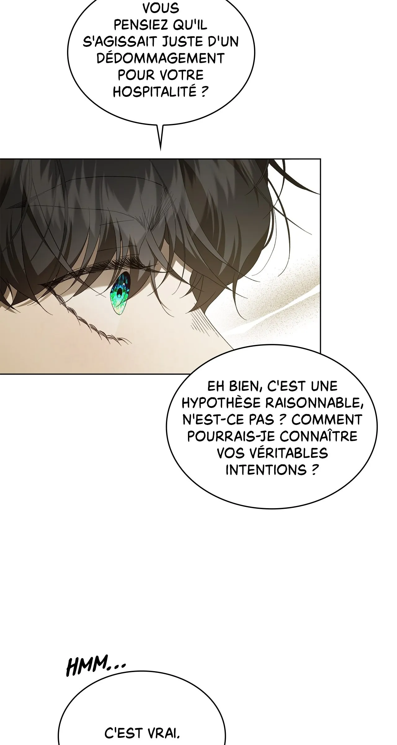 Read The Stone Thrown in the Lake FR Manga Online