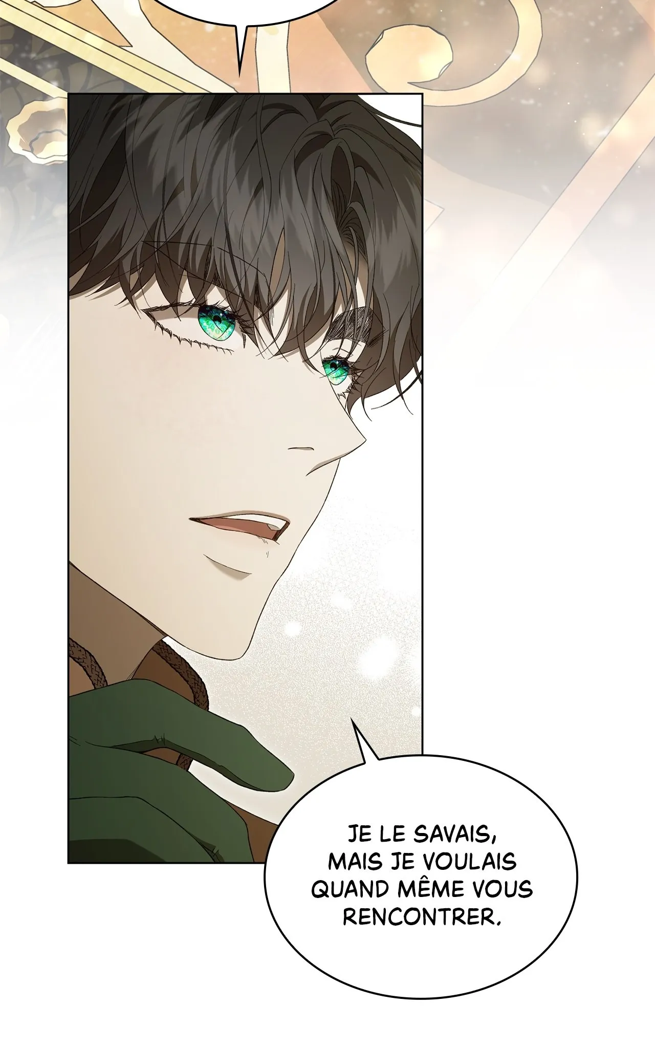 Read The Stone Thrown in the Lake FR Manga Online