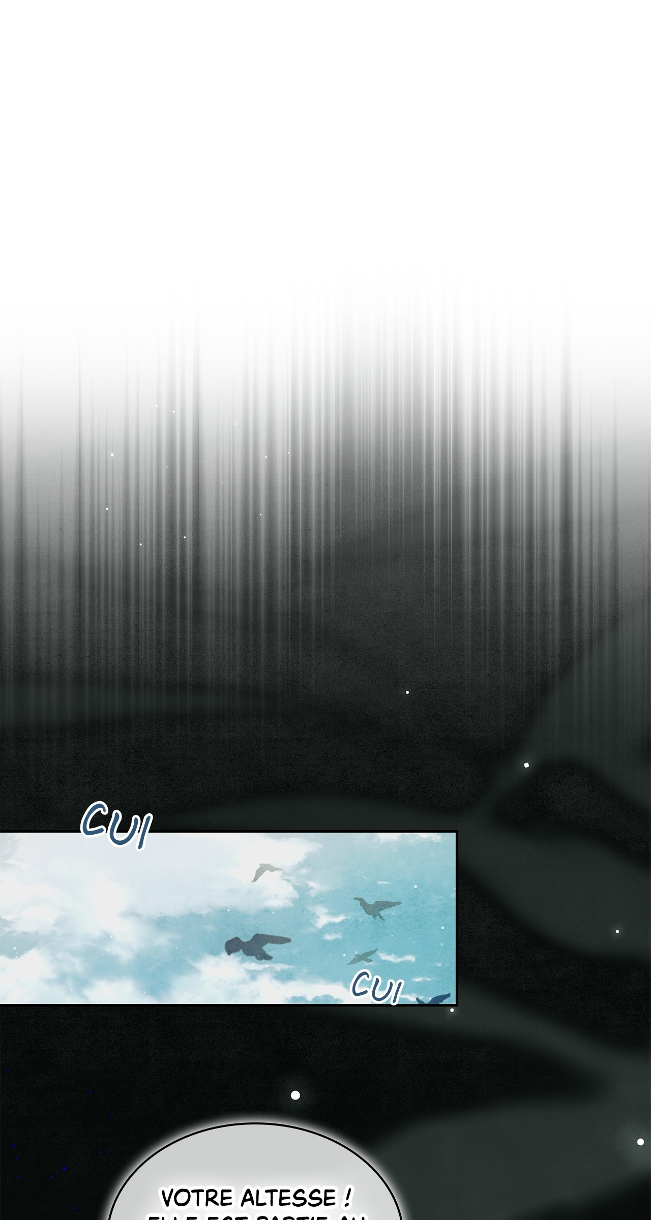 Read The Stone Thrown in the Lake FR Manga Online