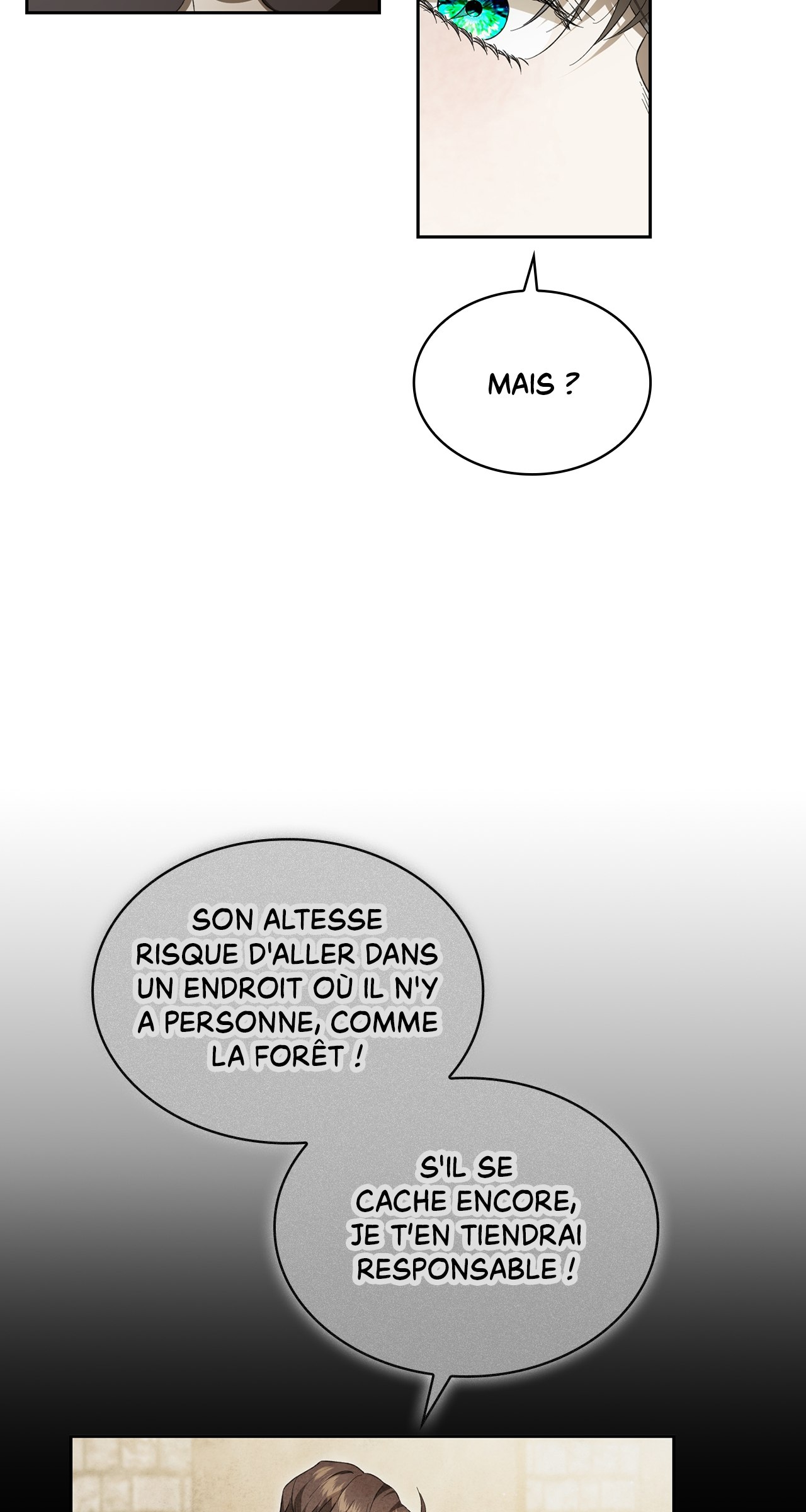 Read The Stone Thrown in the Lake FR Manga Online