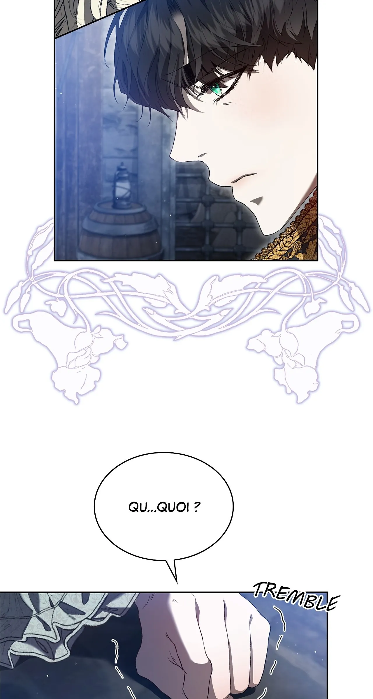 Read The Stone Thrown in the Lake FR Manga Online