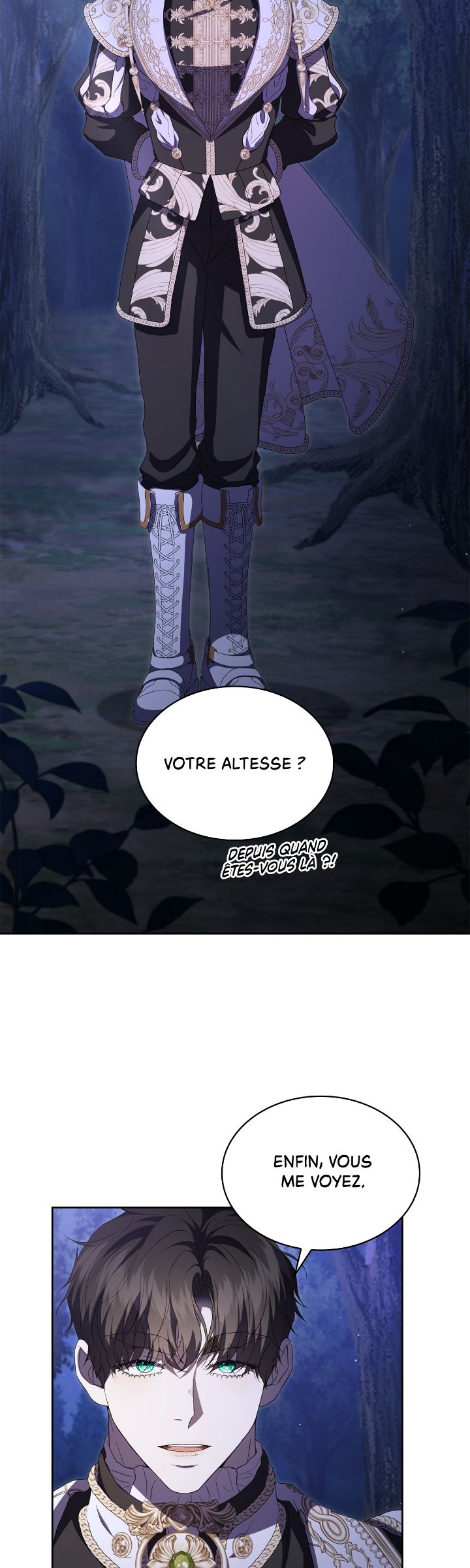 Read The Stone Thrown in the Lake FR Manga Online
