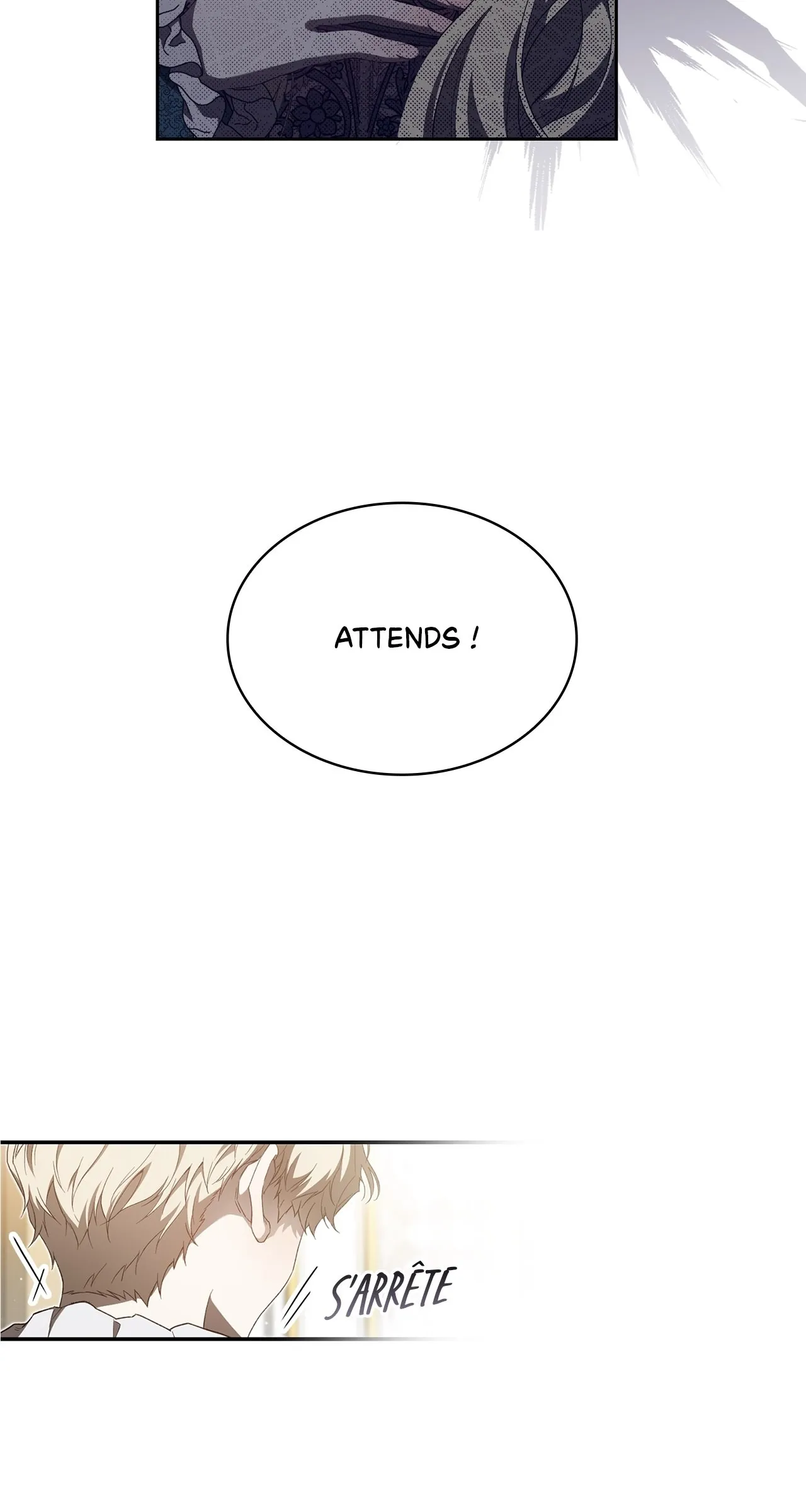 Read The Stone Thrown in the Lake FR Manga Online
