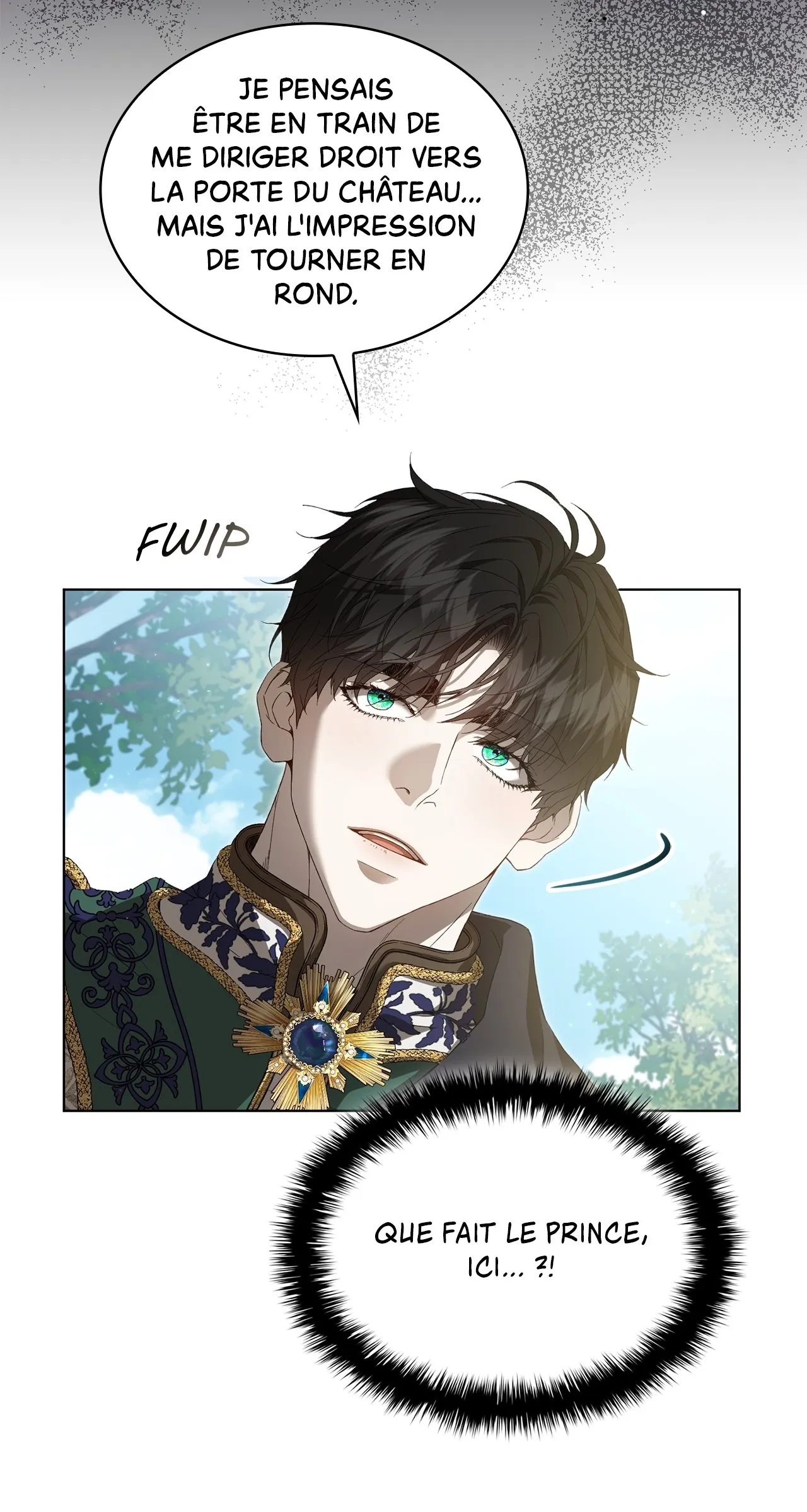 Read The Stone Thrown in the Lake FR Manga Online