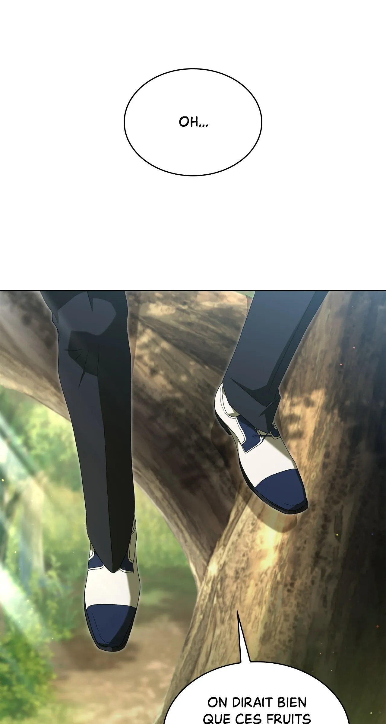 Read The Stone Thrown in the Lake FR Manga Online
