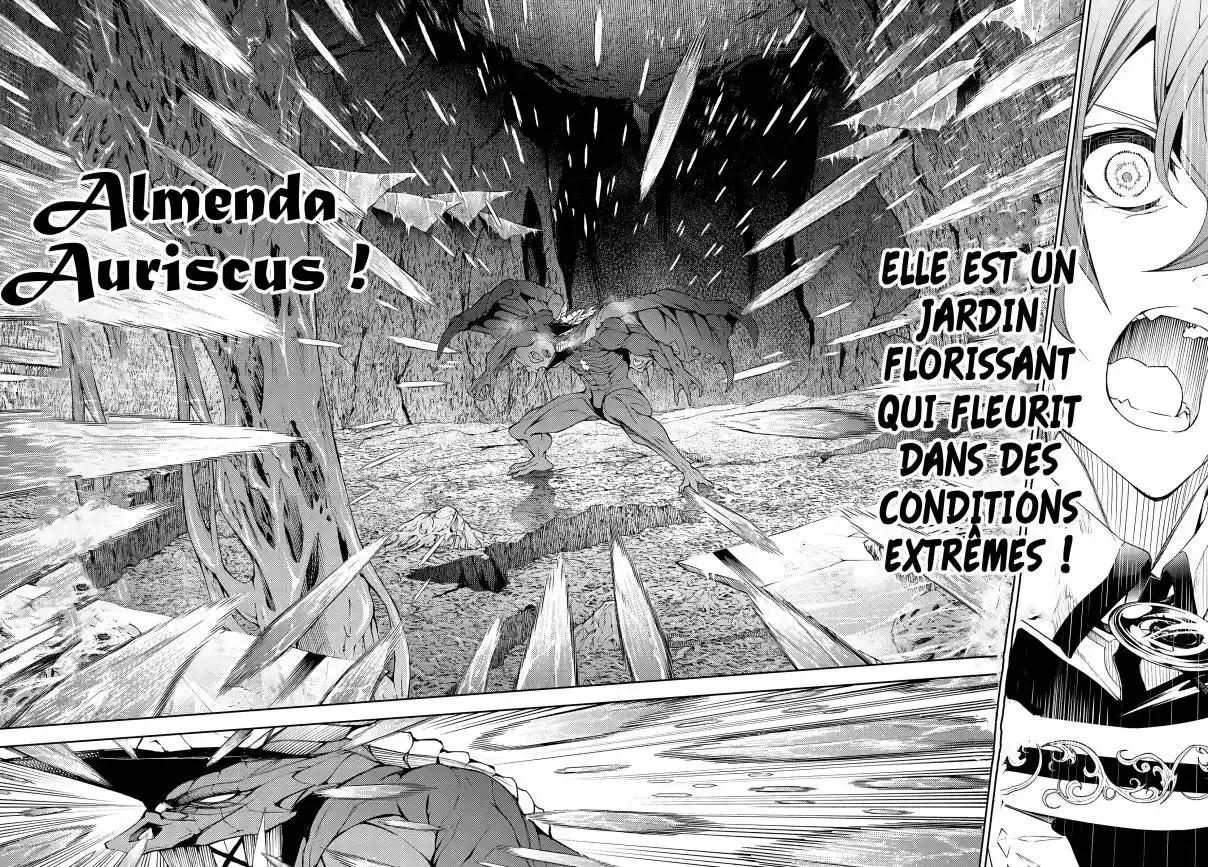Read Tsue To Tsurugi No Wistoria FR Manga Online