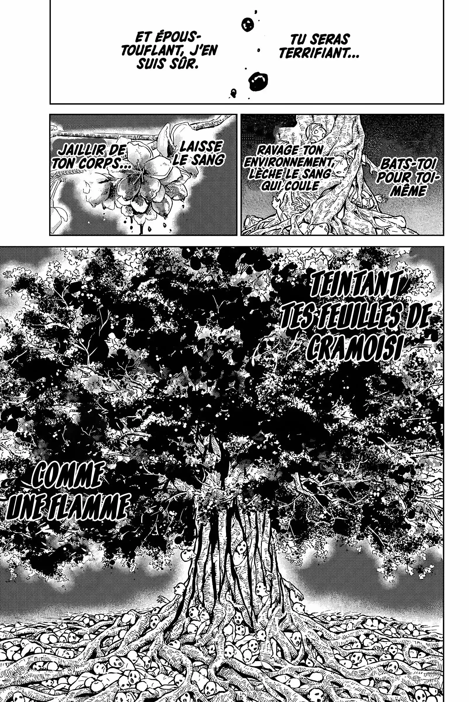 Read Wind Breaker FR Manga Online