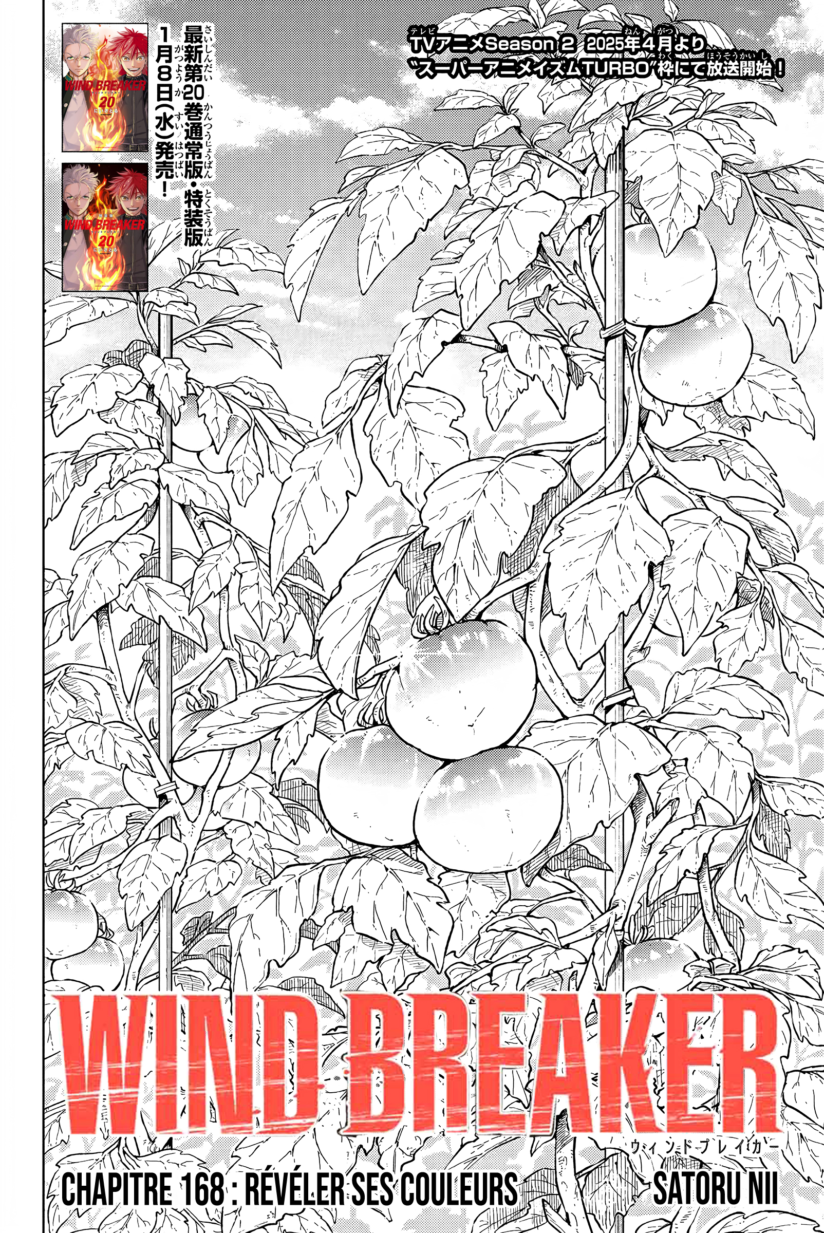 Read Wind Breaker FR Manga Online
