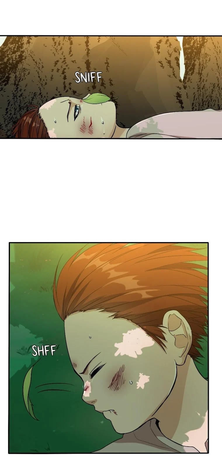 Read The Beginning After the End ID Manga Online