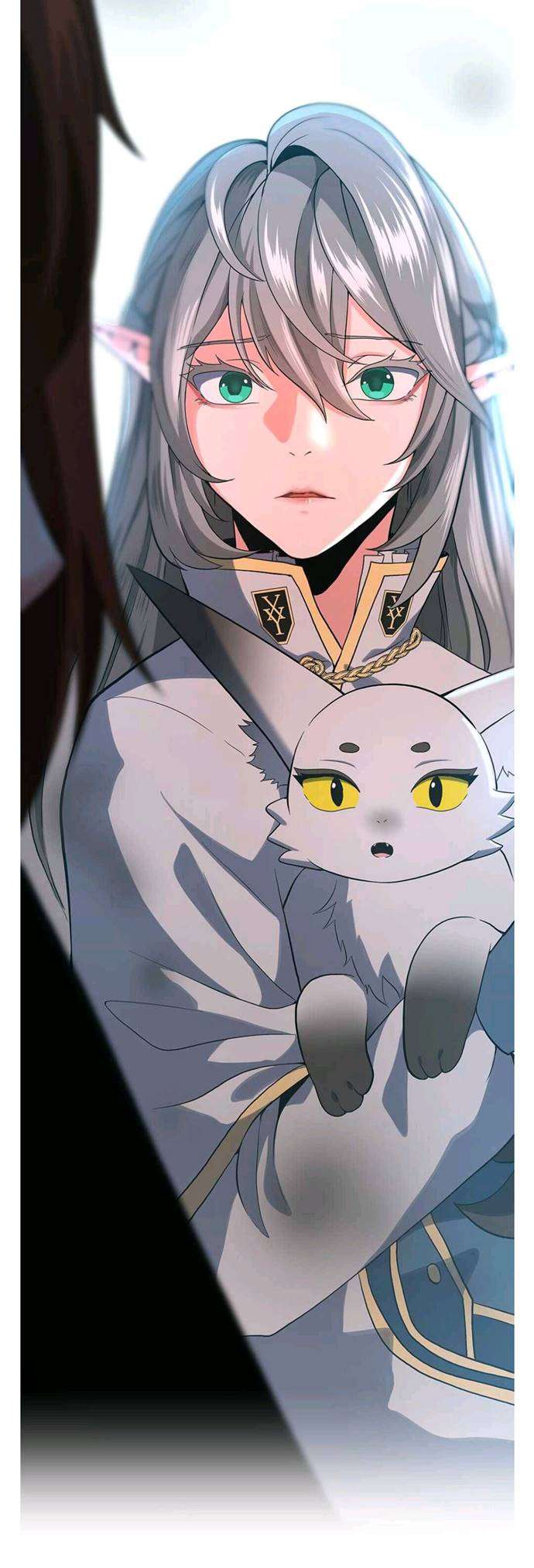 Read The Beginning After the End ID Manga Online