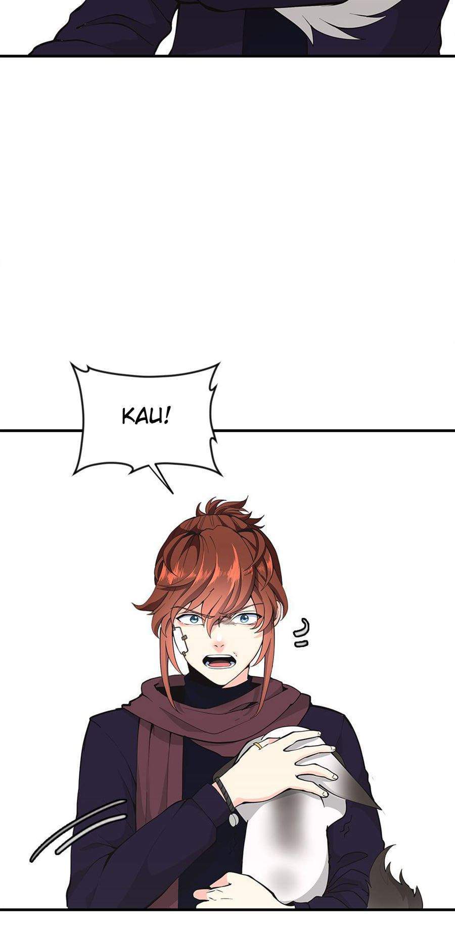 Read The Beginning After the End ID Manga Online