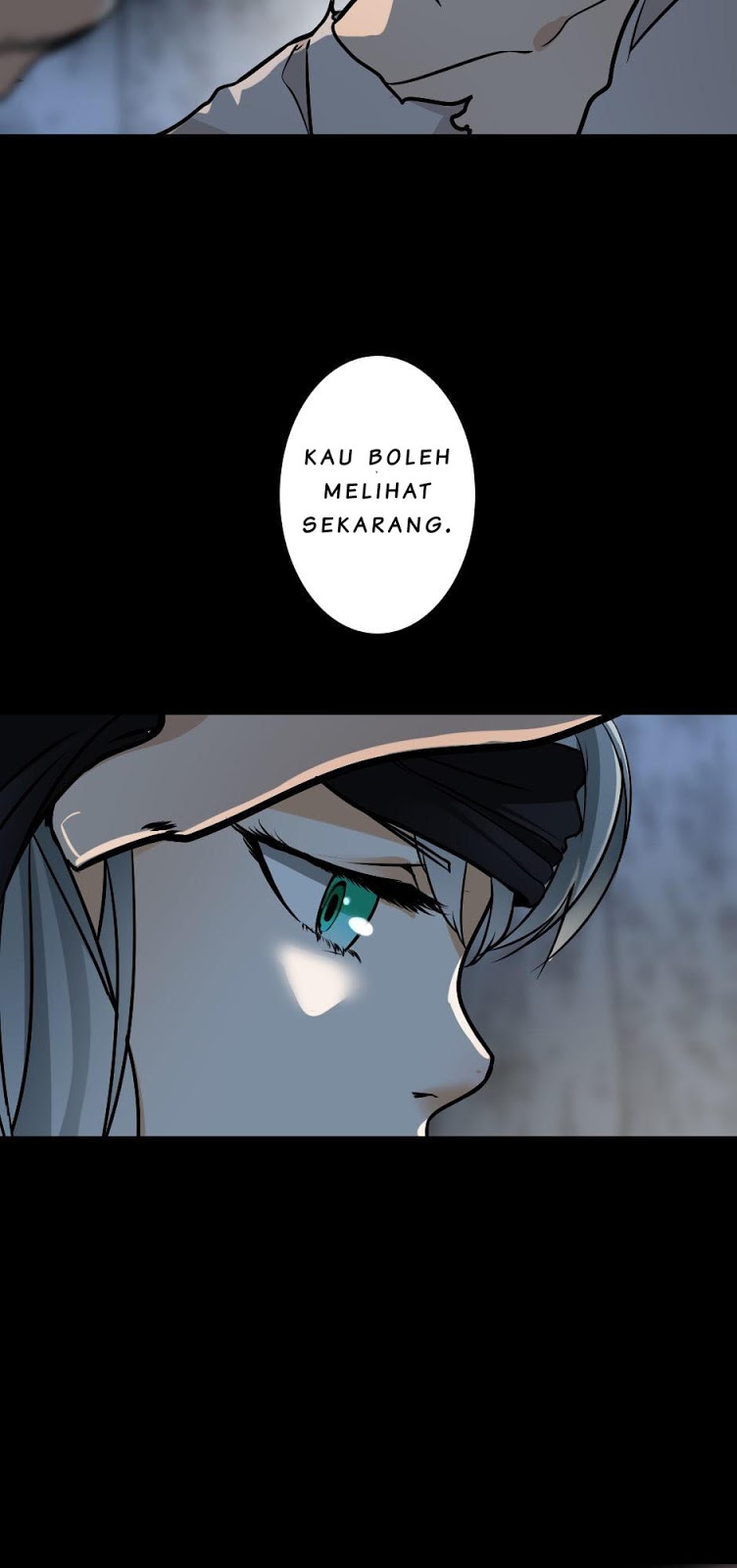 Read The Beginning After the End ID Manga Online