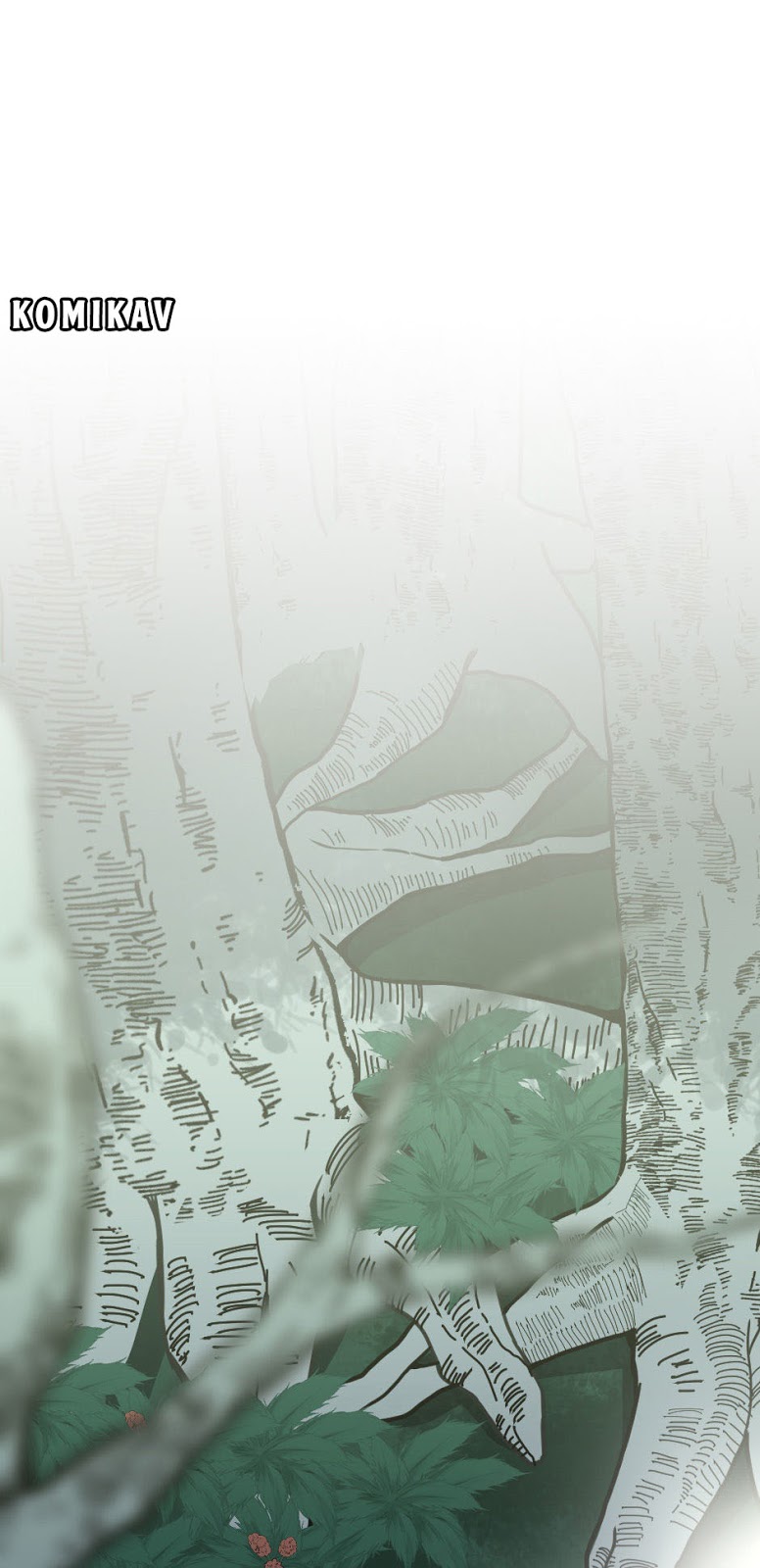 Read The Beginning After the End ID Manga Online