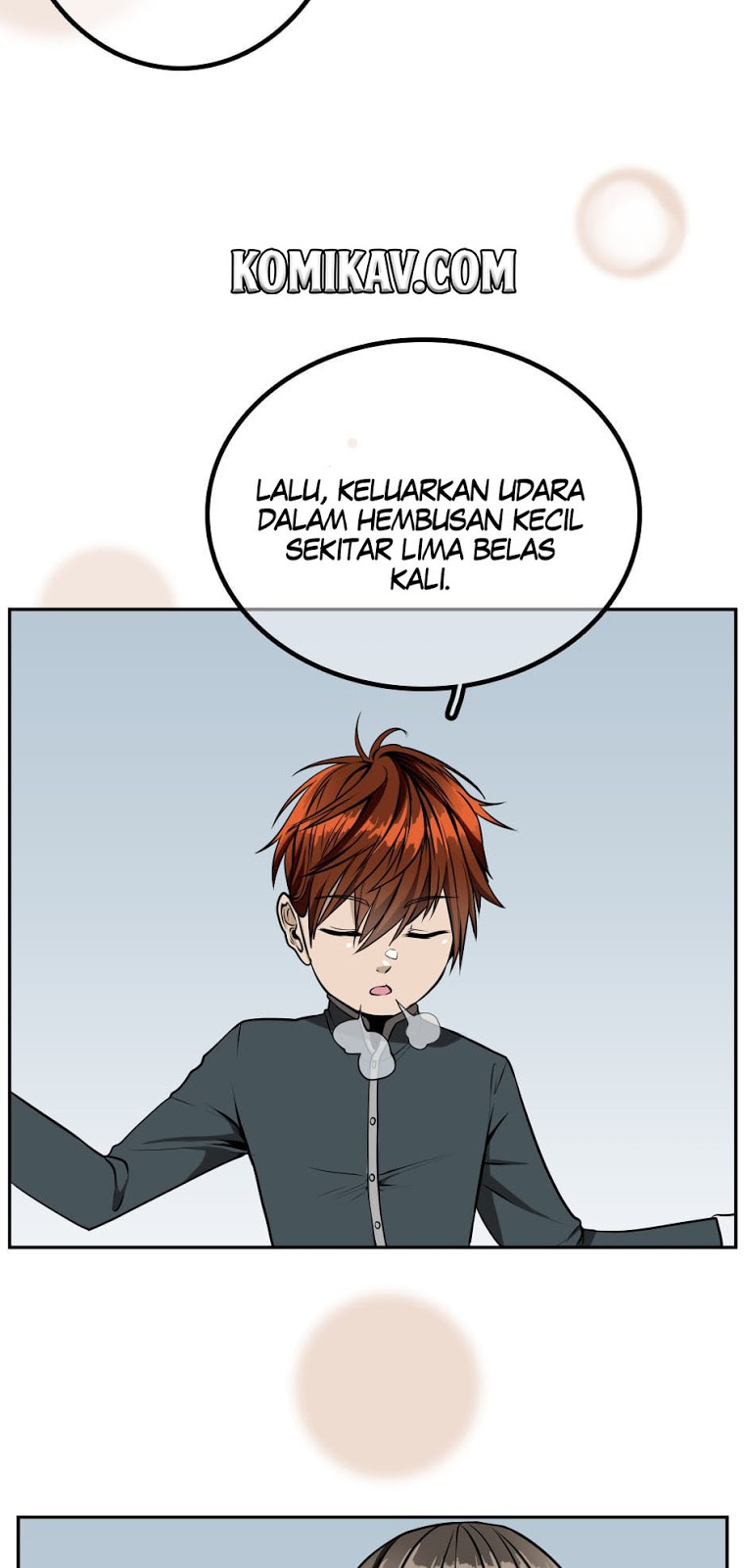 Read The Beginning After the End ID Manga Online