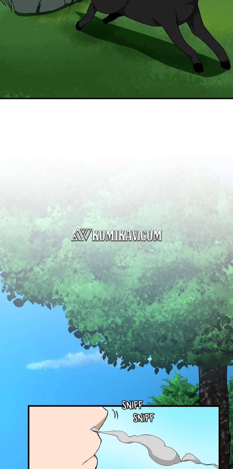 Read The Beginning After the End ID Manga Online
