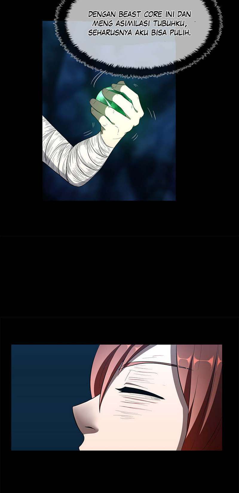 Read The Beginning After the End ID Manga Online